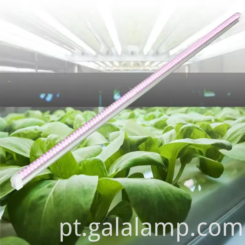 Cultive mudas, suplemento luz para crescimento, luz de planta T5 de espectro completo